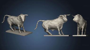 3D model Toro (STL)